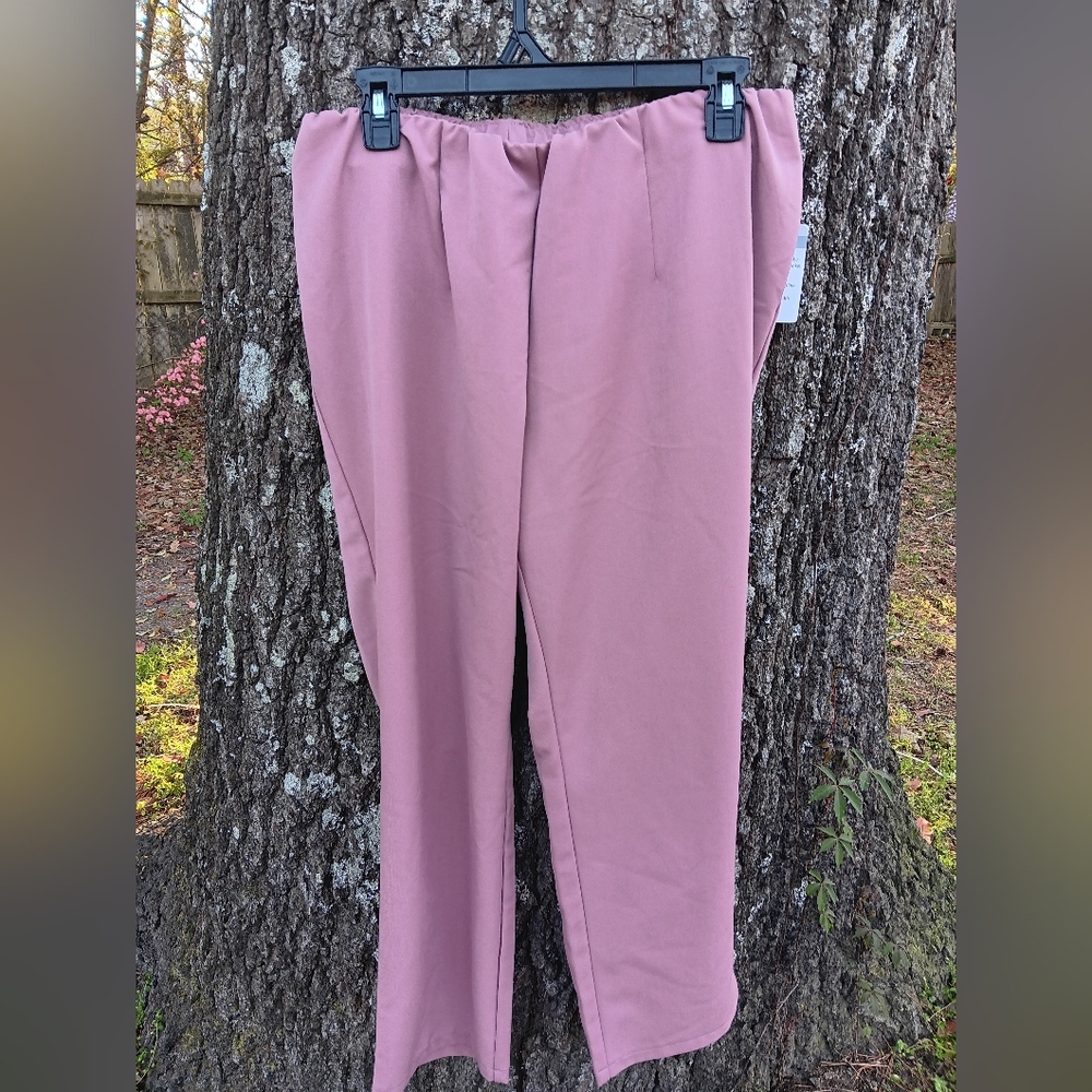 SEVILLA NWT Elastic Waist Pants 16P